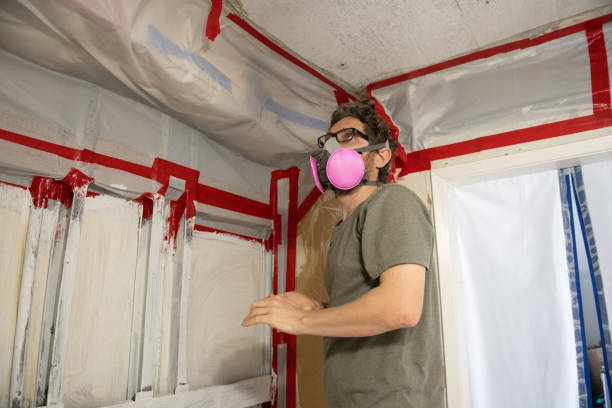 Best Residential Mold Inspection & Testing  in Bromley, KY